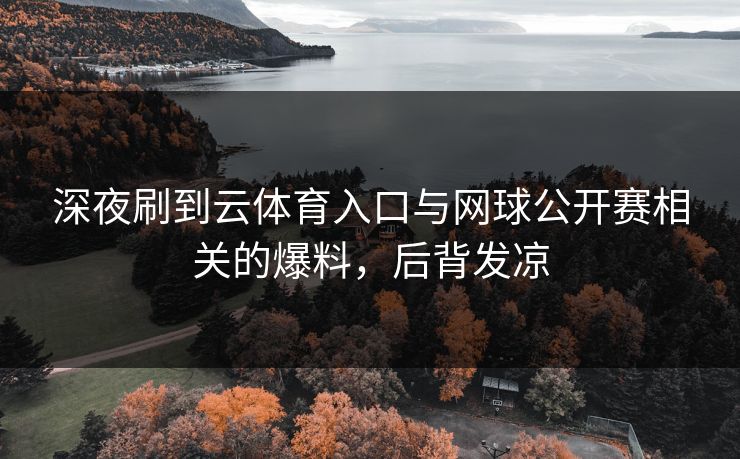 深夜刷到云体育入口与网球公开赛相关的爆料，后背发凉